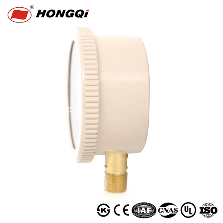 Hongqi Capsule Pressure Gauge Famous Suppliers in China, Asian