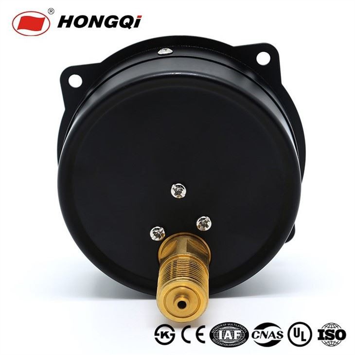 Manometer Axial Back Connection With Front Flange